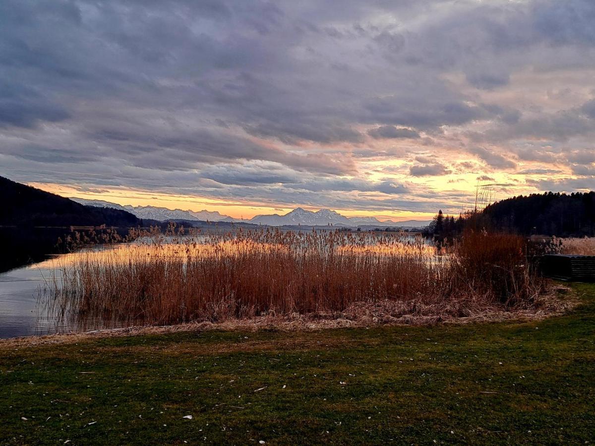 Ferienwohnung Wallersee Neumarkt am Wallersee Exteriör bild