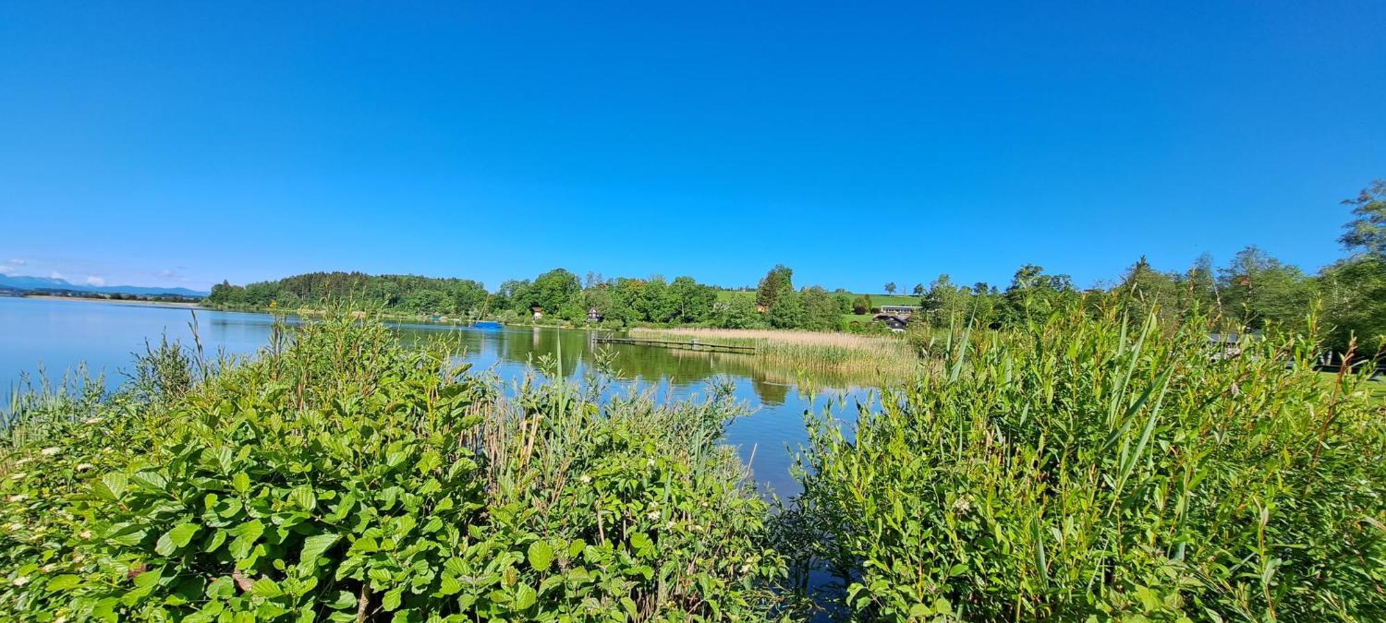 Ferienwohnung Wallersee Neumarkt am Wallersee Exteriör bild